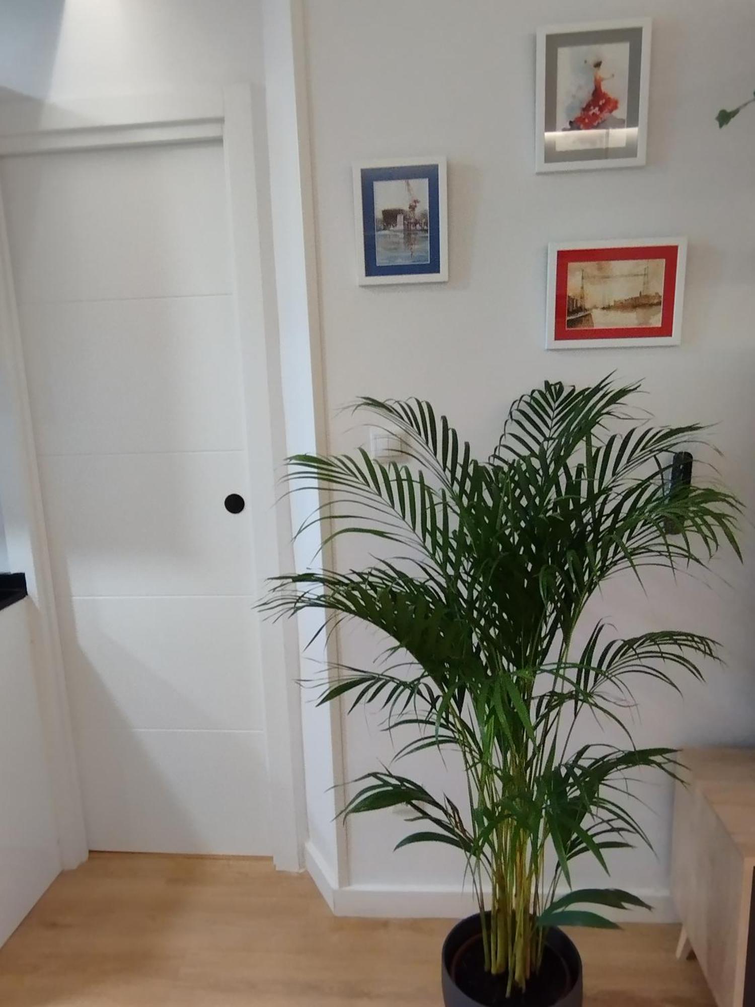 Apartamento La Carola Bilbao Esterno foto
